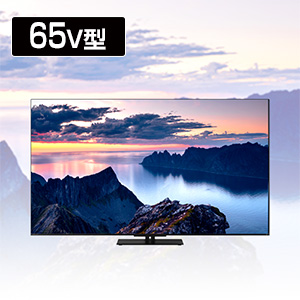 �s�u�r�@�q�d�f�y�`�@4K�t���e���r�@���O�U�@Z670N series�@65V�^�@65Z670N