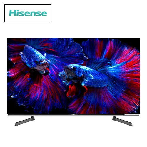 �n�C�Z���X�@�y���i�z4K�L�@EL�e���r�@48V�^�@48X8F_main_1