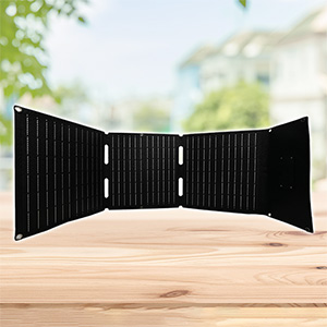 ���e�b�N�X�@EverBright�@31W�\�[���[�p�l���@SSBSP-31WP-MQ