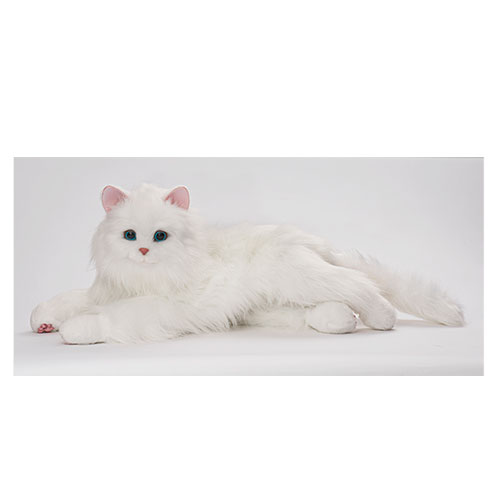 �f�W���N�g�@�y���i�z�L�^�y�b�g���{�b�g�@�����ۂӂ�ӂ�@���܂���ڂ��˂������_main_1