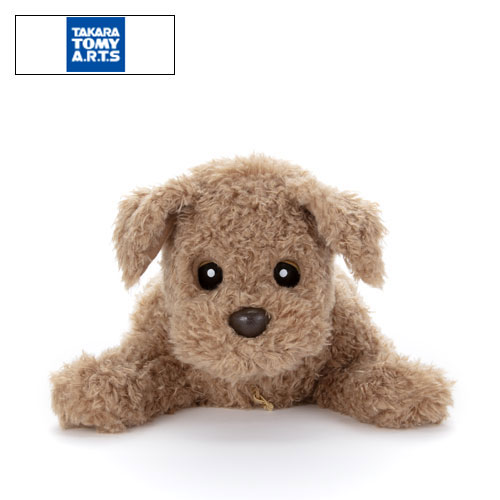 �^�J���g�~�[�A�[�c�@�y�V�i���l�z���^�y�b�g���{�b�g�@�q�[�����O�p�[�g�i�[�@�u�����Ƃ��肱���_�b�L�[�v_main_1