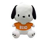 BS10PR��g�@�|�`���b�R�@�ʂ�����݁@3L�T�C�Y�@