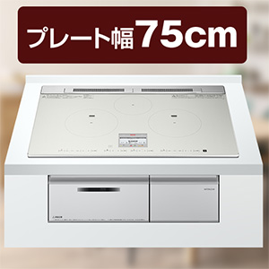 �����@IH�N�b�L���O�q�[�^�[�@���C�g�V���o�[�@HT-N80STWF S