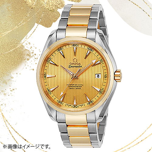 �I���K�@�y���i�z�r���v�@�V�[�}�X�^�[�A�N�A�e���@�����Y�@231.20.42.21.08.001_main_1