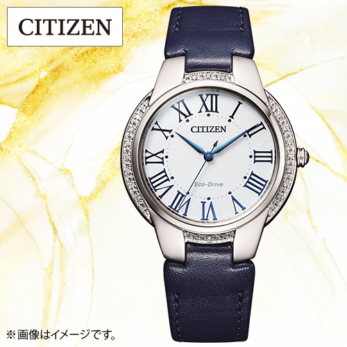 �V�`�Y���@�y���i�z�r���v�@�G�R�E�h���C�u�@�_�C�������h�E�I�b�`�@���f�B�X�@�u���[�@EM0091-11B_main_1