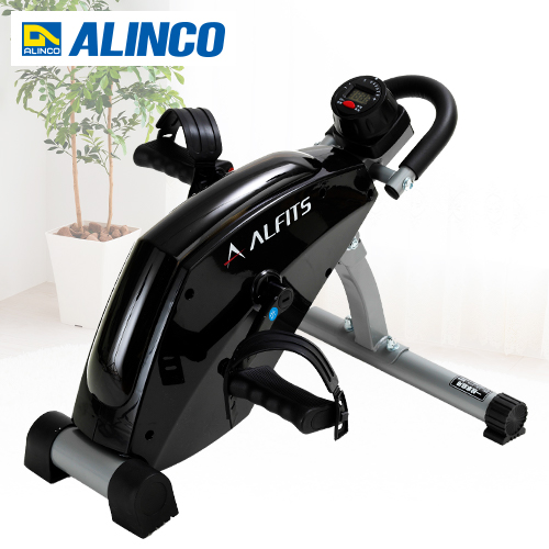 �A���C���R�@�y�V�i���l�z�G�A���}�O�l�e�B�b�N�~�j�o�C�N�@AFB2119K_main_1