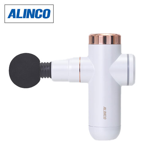 �A���C���R�@�y���i�z�{�f�B�V�F�C�v�K���@�z���C�g�@MCB020W_main_1