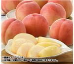 �R���̓��@��2.5kg�@