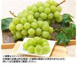 �V���C���}�X�J�b�g�@��2Kg�@