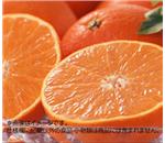 �g�܂ǂ�ȁ@��2.5�����@