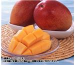 �{�芮�n�}���S�[��1kg�i3�ʖڈ��j�@