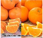 ���Ƃ��E�f�R�|���@