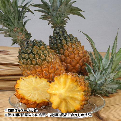 �{�S�[���p�C��_main_1