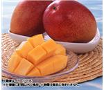 �{�芮�n�}���S�[��900g�@