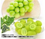 �V���C���}�X�J�b�g�@