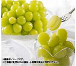 �R�����Y�V���C���}�X�J�b�g�@