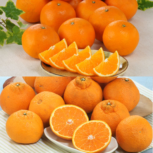 �؏n�f�R�|���E�؏n�����I�����W_main_1