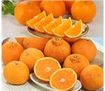 �؏n�f�R�|���E�؏n�����I�����W�@