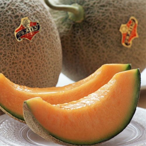 �[���������@2��_main_1