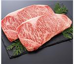 ��䋍���[�X�X�e�[�L�@500g�@