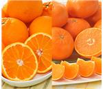 �f�R�|���E�͂܂����@