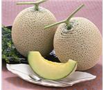 �A�[���X�������@��1.5kg��3�@