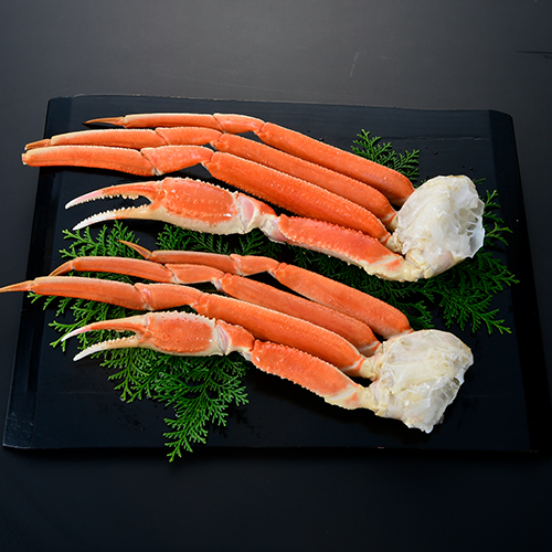 �{���킢�� �i2���j_main_1