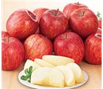 ���n�̍����x�T���ӂ��@��4.5�����@