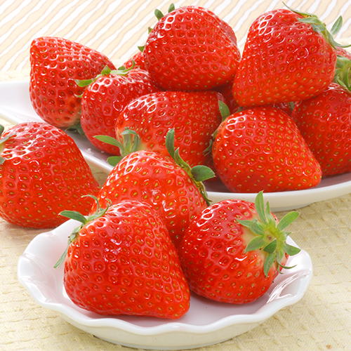 ���ʂ��Ђ߁@��1.5kg_main_1