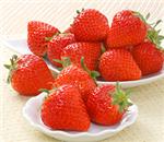 ���ʂ��Ђ߁@��1.5kg�@