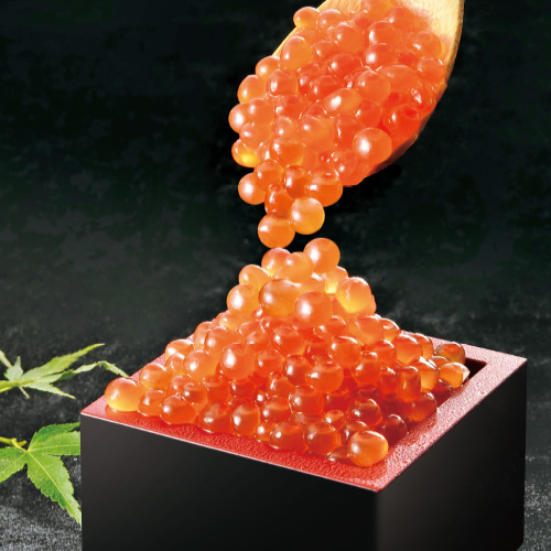 ���t������350g_main_1