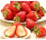 �Ós�؁i���Ƃ��j�@��1�����@