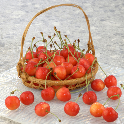 �����с@��800��_main_1