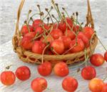 �����с@��800���@