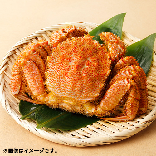 kCIz[cNCY@уKj_main_1