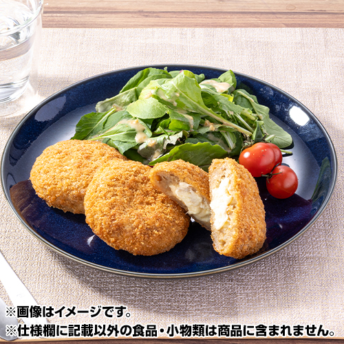 �K�X�g�@���i�Z�b�g_main_1