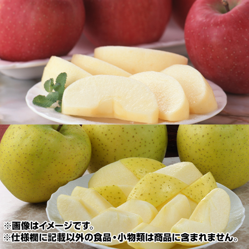 ���n�̃T���ӂ��E���с@�e��2.5kg_main_1