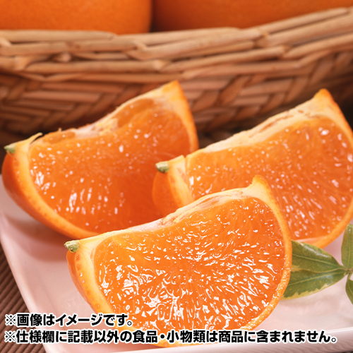 ���Ƃ��@��2.5����_main_1