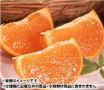 ���Ƃ��@��2.5�����@