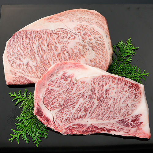 �R�`�����[�X�X�e�[�L_main_1