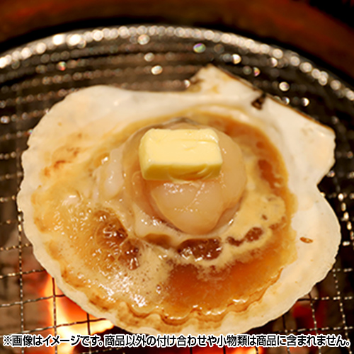 �k�C���Y�@�z�^�e�ЊL�@�v40��(10������x4��)_main_1