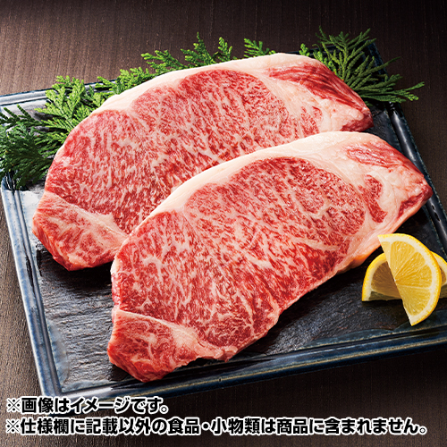 �����������@���[�X�X�e�[�L�@�v500g_main_1