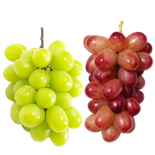 �V���C���}�X�J�b�g�E�N�C�[�����[�W���@�Z�b�g_main_1
