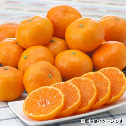 ���̊ۃS�[���h�痼�@��5kg_main_1