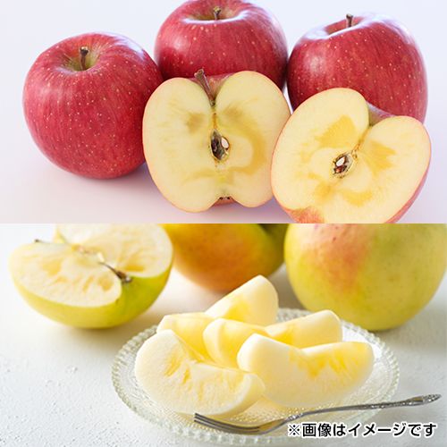 �T���ӂ��E�����Z�b�g_main_1