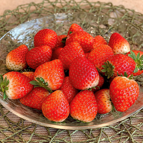 �Ƃ��������@��1.5kg�i��750gX2�j_main_1