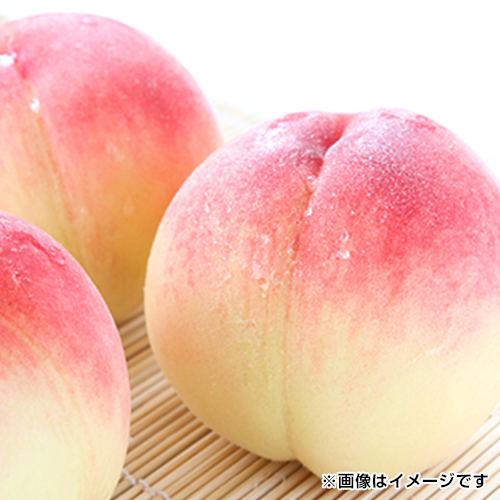 ������2.8�s_main_1