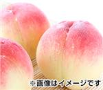 ������2.8�s�@