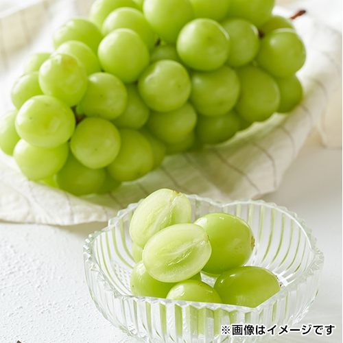 �V���C���}�X�J�b�g�@��2kg_main_1