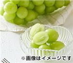�V���C���}�X�J�b�g�@��2kg�@